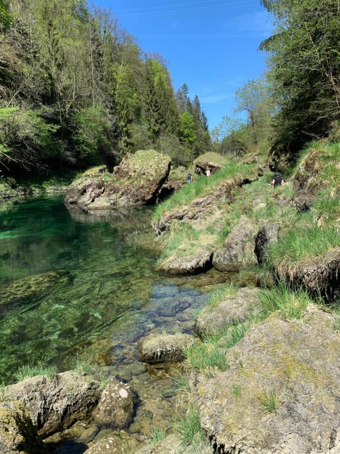 Ferienhaeuschen Am Traunsee Mit Tretboot Zur Freien Nutzung Am Badeplatz Altmünster Exteriér fotografie