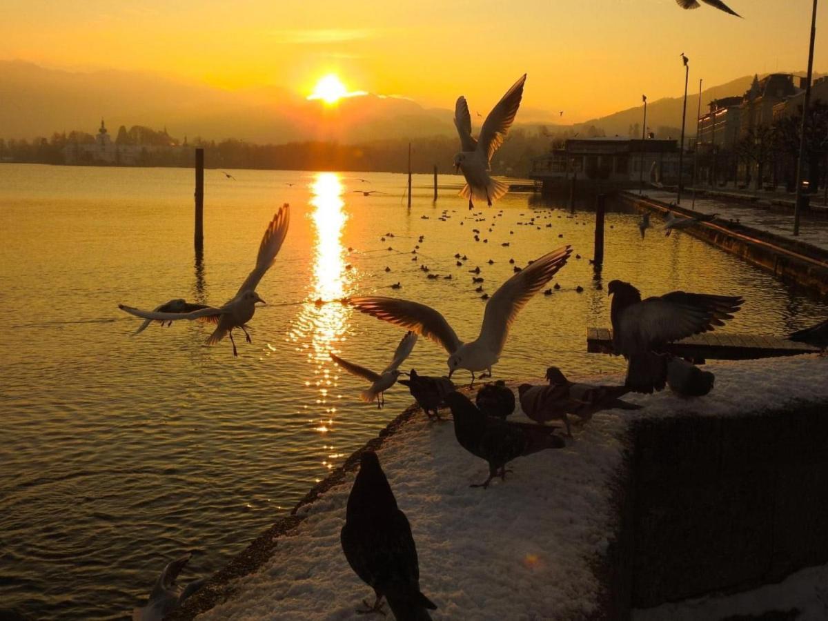 Ferienhaeuschen Am Traunsee Mit Tretboot Zur Freien Nutzung Am Badeplatz Altmünster Exteriér fotografie