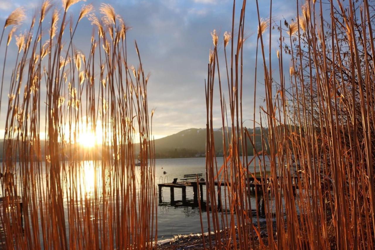 Ferienhaeuschen Am Traunsee Mit Tretboot Zur Freien Nutzung Am Badeplatz Altmünster Exteriér fotografie